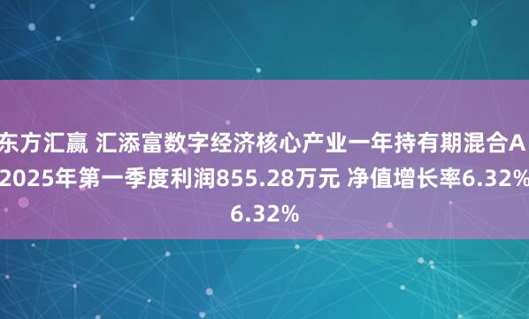 东方汇赢 汇添富数字经济核心产业一年持有期混合A：2025年第一季度利润855.28万元 净值增长率6.32%