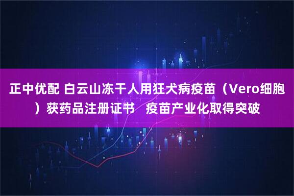 正中优配 白云山冻干人用狂犬病疫苗（Vero细胞）获药品注册证书   疫苗产业化取得突破