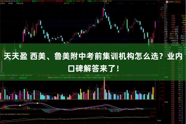 天天盈 西美、鲁美附中考前集训机构怎么选？业内口碑解答来了！