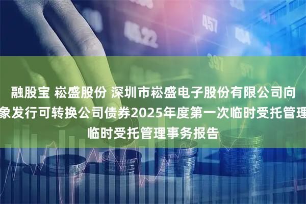 融股宝 崧盛股份 深圳市崧盛电子股份有限公司向不特定对象发行可转换公司债券2025年度第一次临时受托管理事务报告